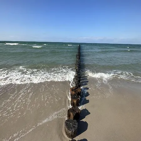 Haus Q Superior - Hälfte 1 Ferienhaus Ostseeheilbad Zingst